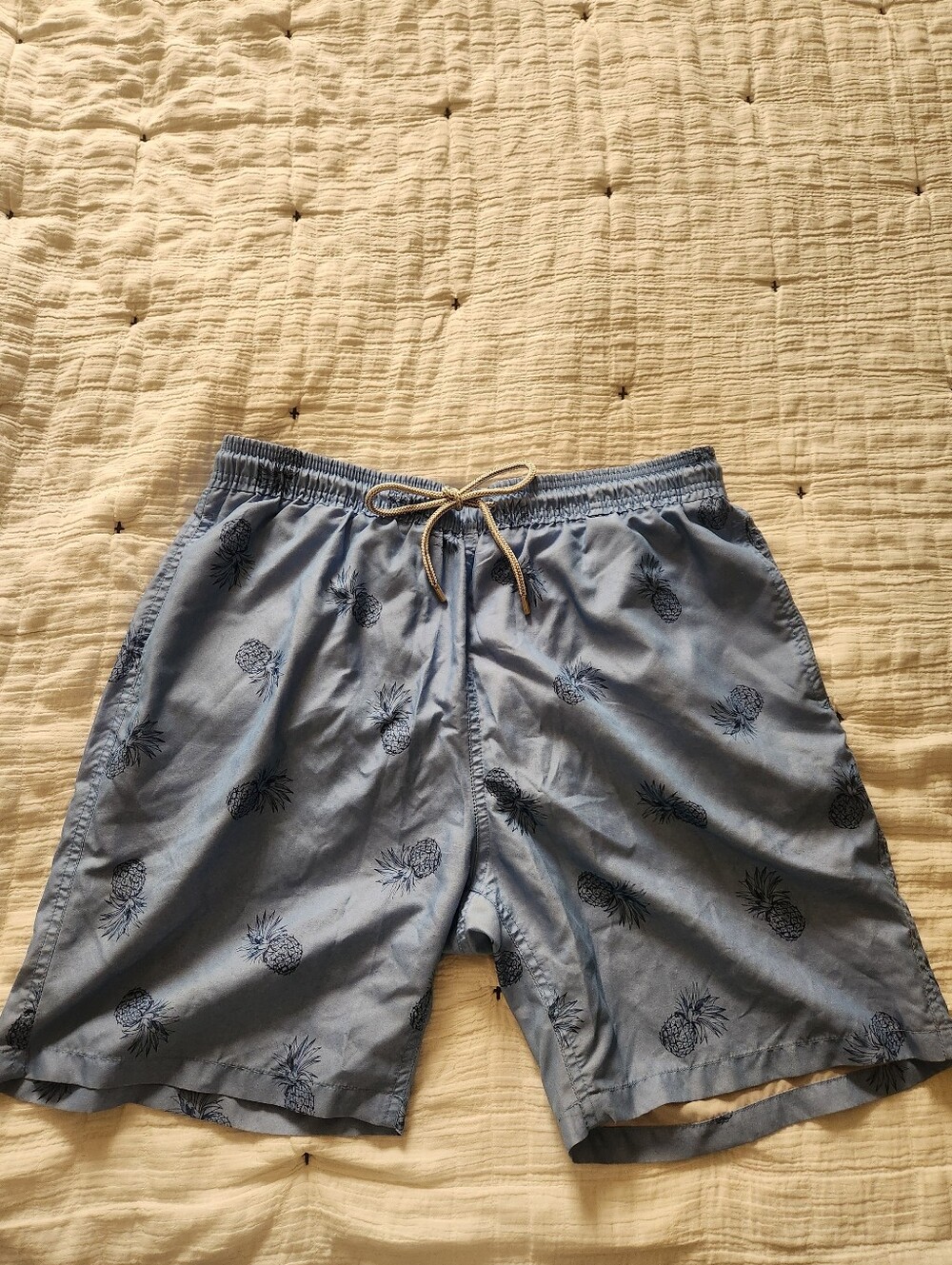 Light Blue Pineapple Print Swim Trunks